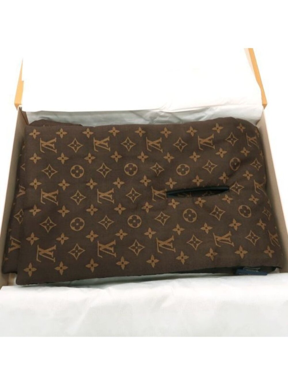 Louis Vuitton Echarpe Pillow Monogram Muffler 2021 Reversible Nylon Silk Scarf - Picture 4 of 14